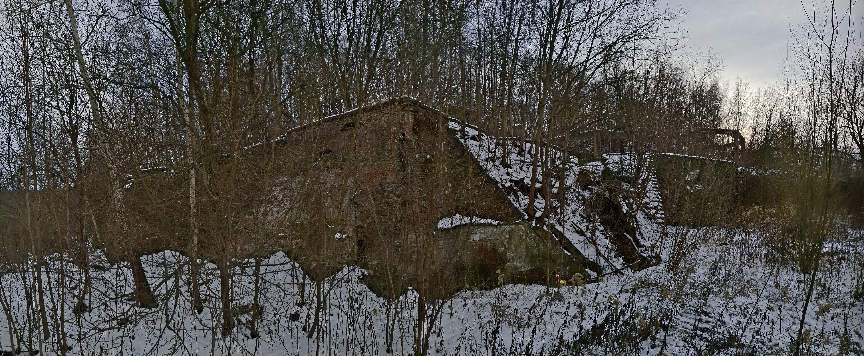 20260102_131039(1).jpg