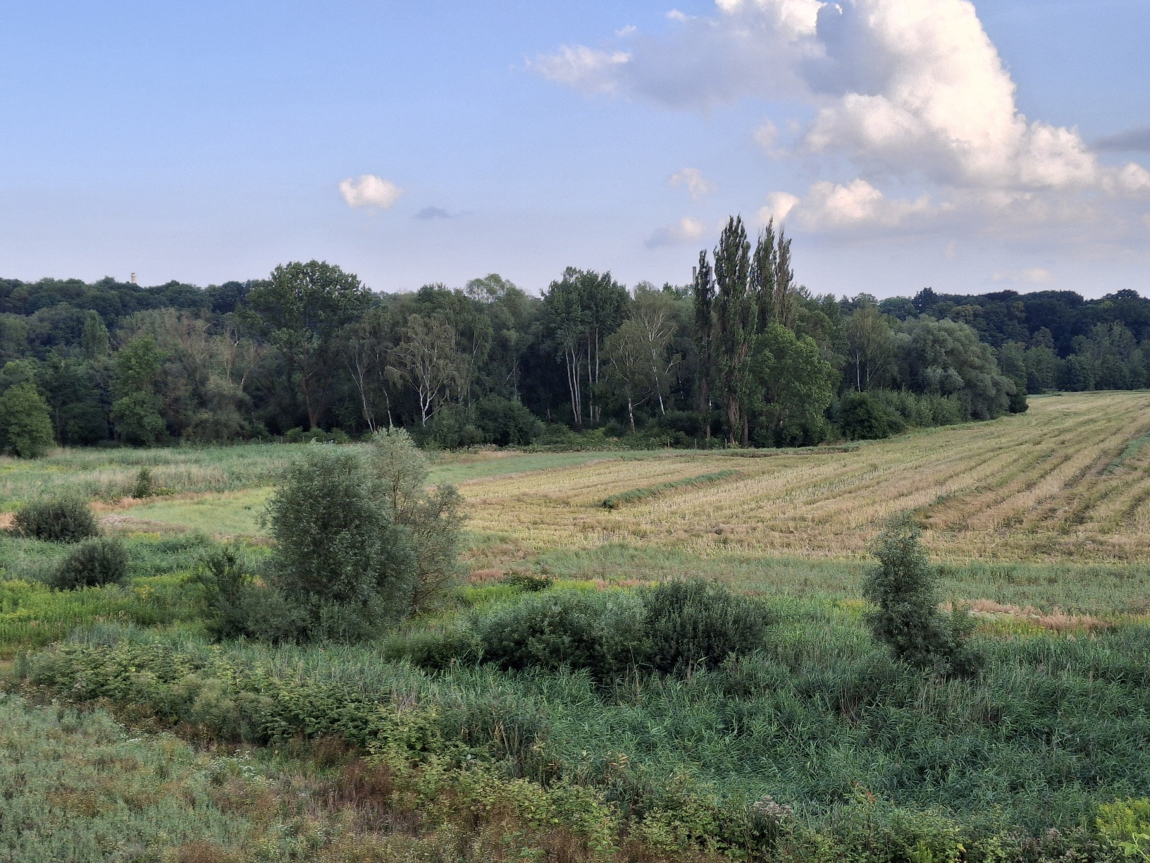 20260807_183018(1).jpg